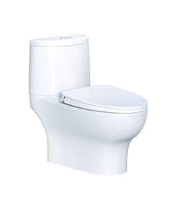Bồn Cầu Caesar 2 Khối CD1349