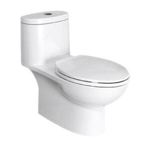 Bồn Cầu American Standard 1 Khối VF-2024