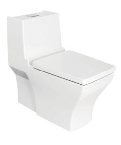 Bồn Cầu American Standard 1 Khối WP-2060
