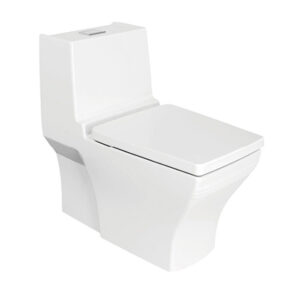Bồn Cầu American Standard 1 Khối WP-2060