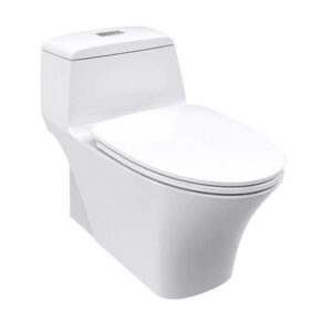 Bồn Cầu American Standard 1 Khối WP-2009