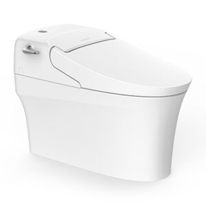 Bồn Cầu American Standard Điện Tử WP-5017