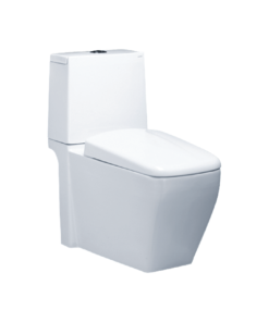 Bồn Cầu Caesar 2 Khối CD1346