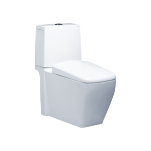 Bồn Cầu Caesar 2 Khối CD1346