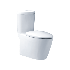Bồn Cầu Caesar 2 Khối CD1348