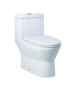 Bồn Cầu Caesar 1 Khối CD1374