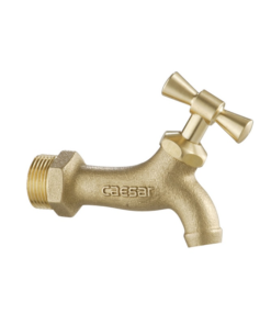 Vòi Lạnh Gắn Tường Caesar W035
