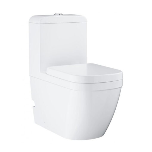Bồn Cầu 1 Khối Eurosmart Grohe 39119001