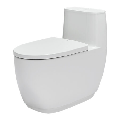 Bồn Cầu INAX AC-1052VN (AC1052VN) 1 Khối Aqua Ceramic