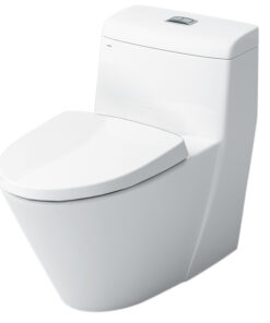 Bồn Cầu INAX AC-909VRN-1 (AC909VRN1) 1 Khối Aqua Ceramic
