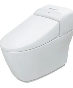 Bồn Cầu INAX AC-1032VN (AC1032VN) 1 Khối Aqua Ceramic