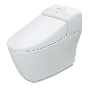 Bồn Cầu INAX AC-1032VN (AC1032VN) 1 Khối Aqua Ceramic