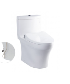 Bồn Cầu ToTo 1 Khối Nắp Rửa Cơ MS889DRE2