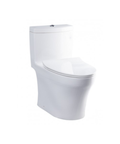 Bệt xí vệ sinh ToTo MS889DRT8