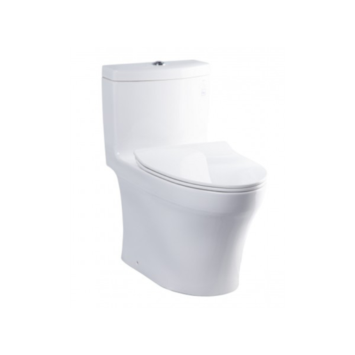 Bệt xí vệ sinh ToTo MS889DRT8