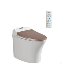 Bồn Cầu Điện Tử Viglacera V93.GW