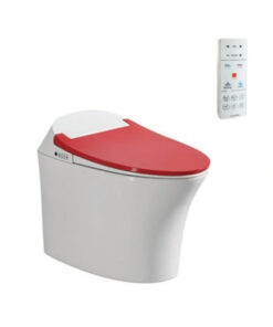 Bồn Cầu Điện Tử Viglacera V93.RW