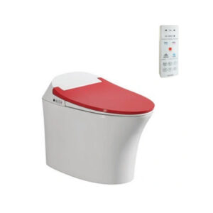 Bồn Cầu Điện Tử Viglacera V93.RW