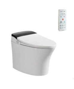 Bồn Cầu Điện Tử Viglacera V93.WB