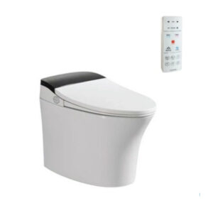 Bồn Cầu Điện Tử Viglacera V93.WB