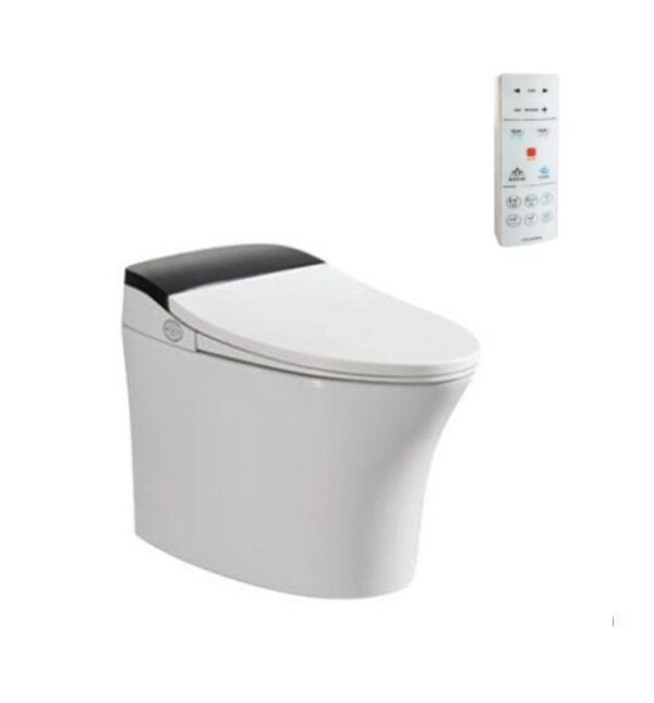 Bồn Cầu Điện Tử Viglacera V93.WB