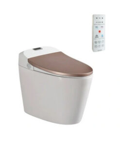 Bồn Cầu Điện Tử Viglacera V94.GW