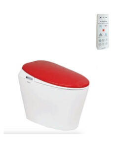 Bồn Cầu Điện Tử Viglacera V94.R