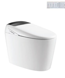 Bồn Cầu Điện Tử Viglacera V97.WB