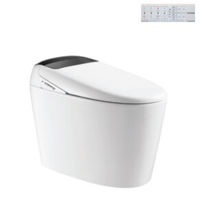 Bồn Cầu Điện Tử Viglacera V97.WB