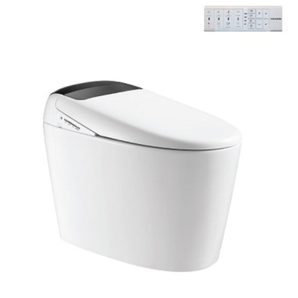 Bồn Cầu Điện Tử Viglacera V97.WB