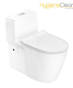 Bồn Cầu American Standard 1 khối VF-1808ET