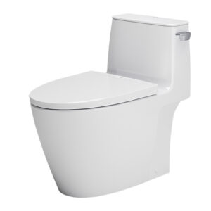 BỒN CẦU MỘT KHỐI