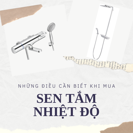 SEN TẮM NHIỆT ĐỘ chín hãng giá rẻ và những điều cần biết.