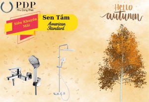 Sen tắm American Standard