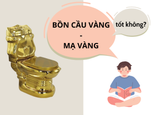 Bồn cầu màu bàng - mạ vàng có tốt không?