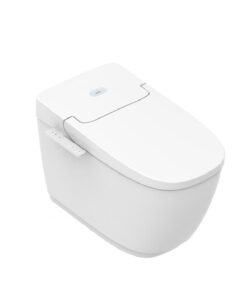 Bồn cầu thông minh INAX AC-816VN SARAS LIGHT E