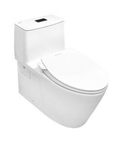 Bồn cầu American Standard VF-1808TSW nắp rửa cơ