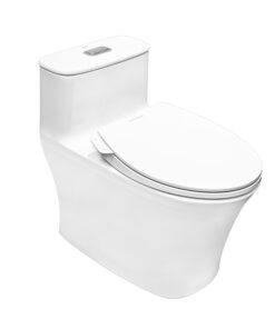 Bồn cầu American Standard WP-1880SW nắp rửa cơ