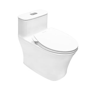 Bồn cầu American Standard WP-1880SW nắp rửa cơ
